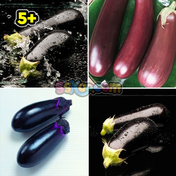 茄子蔬菜新鲜蔬菜高清照片摄影图片食品美食特写农产品大图插图