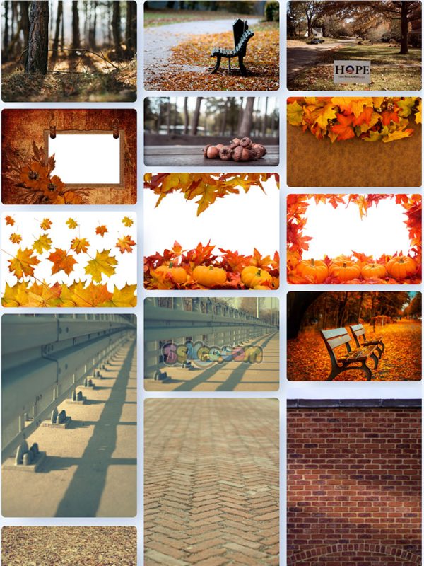 秋季落叶公园躺椅树叶景观特写高清JPG摄影壁纸图片背景插画素材插图1