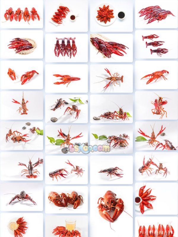 红色油焖爆炒小龙虾大虾宵夜美食大餐高清照片大图插图1