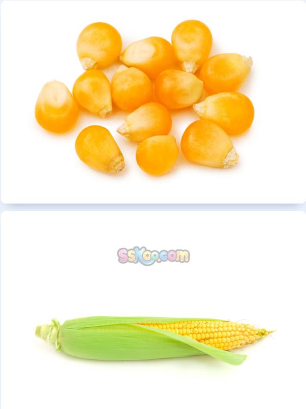 玉米新鲜蔬菜高清照片摄影图片食品美食特写农产品大图插图插图1