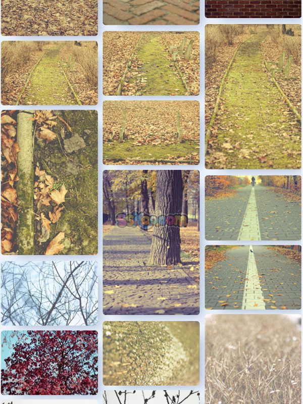 秋季落叶公园躺椅树叶景观特写高清JPG摄影壁纸图片背景插画素材插图2