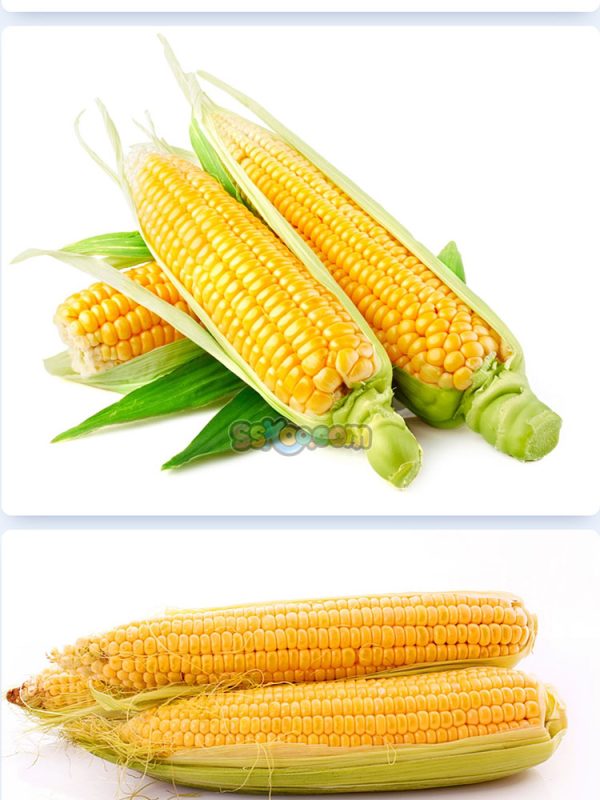 玉米新鲜蔬菜高清照片摄影图片食品美食特写农产品大图插图插图2