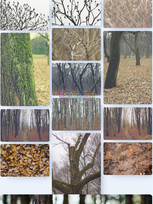 秋季落叶公园躺椅树叶景观特写高清JPG摄影壁纸图片背景插画素材插图3