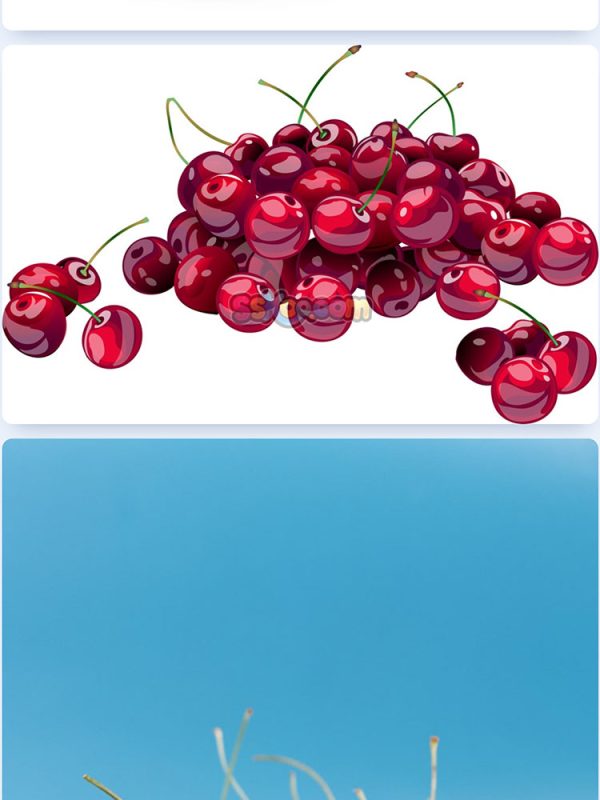 樱桃新鲜水果高清照片摄影图片食品美食特写农产品大图插图插图4