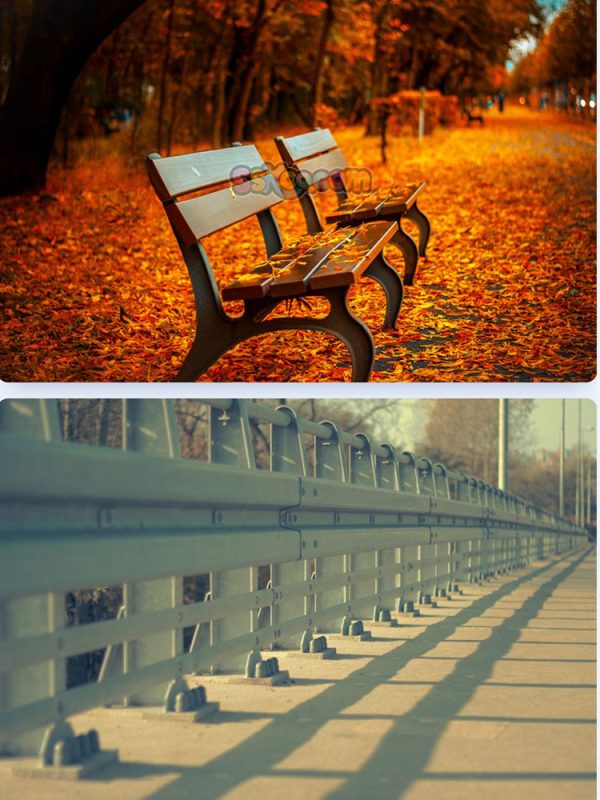 秋季落叶公园躺椅树叶景观特写高清JPG摄影壁纸图片背景插画素材插图6