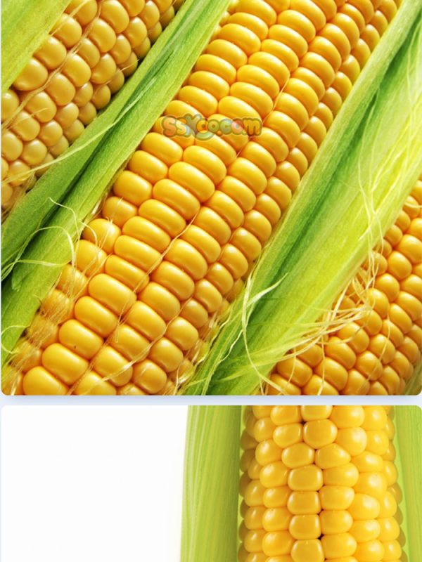 玉米新鲜蔬菜高清照片摄影图片食品美食特写农产品大图插图插图6