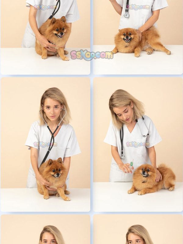 狗狗打疫苗体检宠物医院场景特写JPG摄影组图壁纸背景插图设计素材插图6