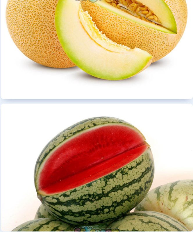 西瓜甜瓜新鲜水果高清照片摄影图片食品美食特写农产品大图插图插图9