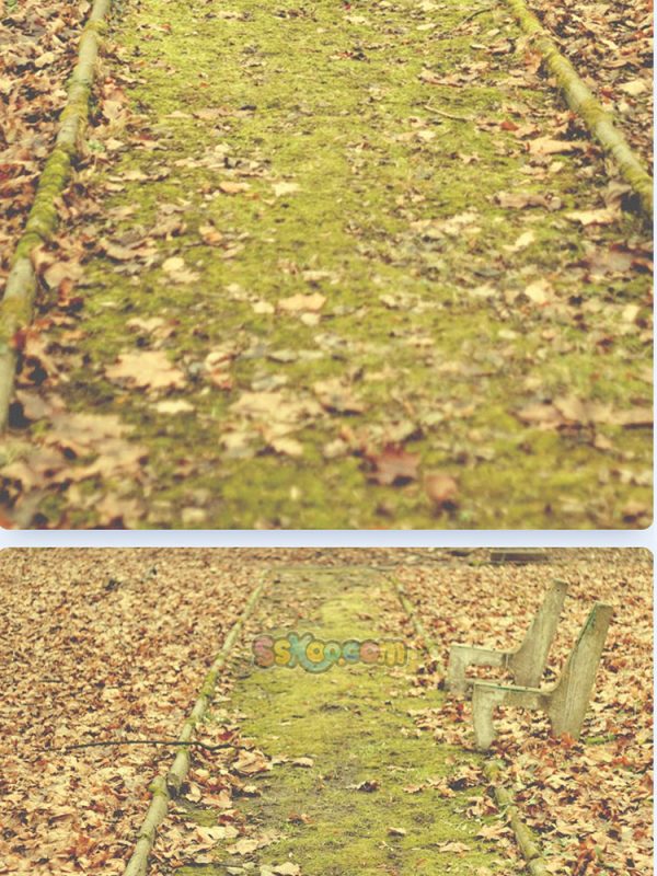 秋季落叶公园躺椅树叶景观特写高清JPG摄影壁纸图片背景插画素材插图11