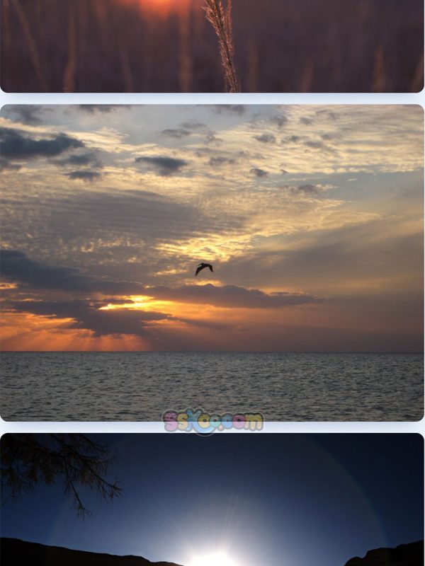 太阳日出夕阳自然景观特写图片高清JPG摄影壁纸背景插画设计素材插图11