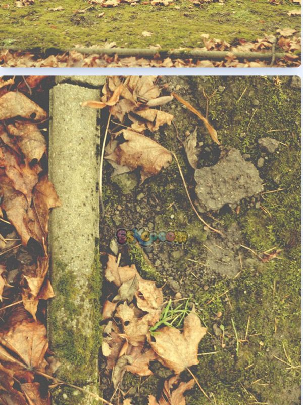 秋季落叶公园躺椅树叶景观特写高清JPG摄影壁纸图片背景插画素材插图13