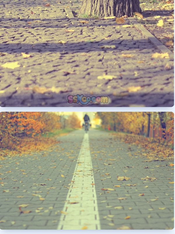 秋季落叶公园躺椅树叶景观特写高清JPG摄影壁纸图片背景插画素材插图15