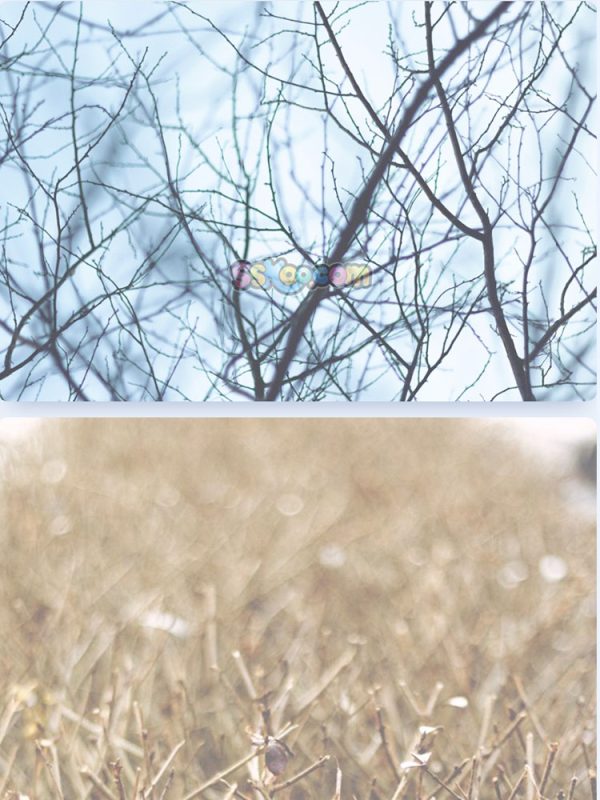 秋季落叶公园躺椅树叶景观特写高清JPG摄影壁纸图片背景插画素材插图16