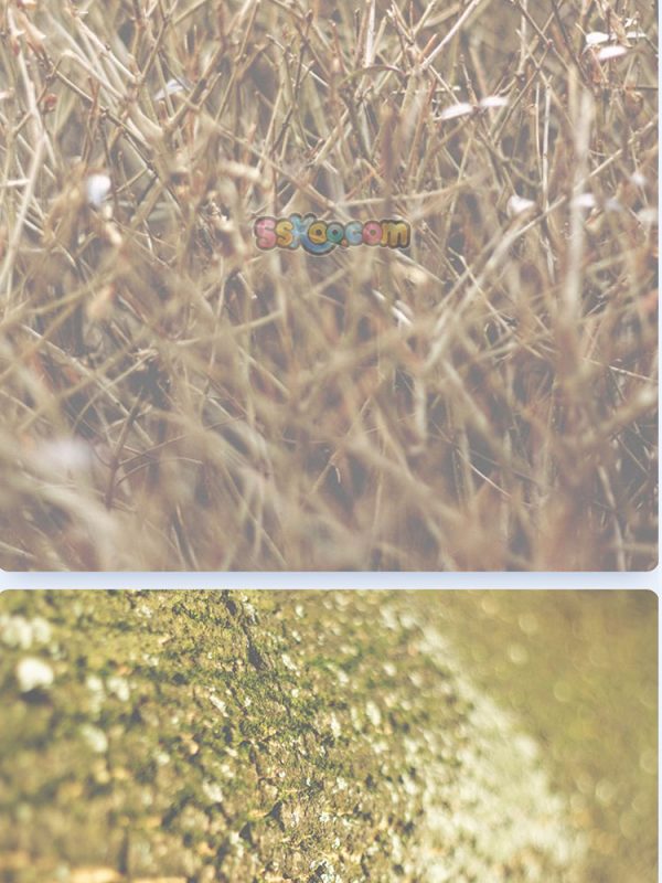 秋季落叶公园躺椅树叶景观特写高清JPG摄影壁纸图片背景插画素材插图17