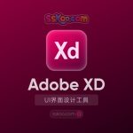 Adobe XD 2024【XD】中文版破解版软件安装激活下载【Win/Mac/支持M芯片】