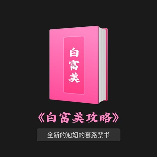 💗《白富美攻略》全新的泡妞套路禁书💕PDF电子书下载