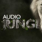 Audio Jungle(2024)超级音效库音乐合集 Videohive AE模板配乐影视片头-2024长期更新缩略图 Audio Jungle(2024)超级音效库音乐合集 Videohive AE模板配乐影视片头-2024长期更新