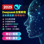 DeepSeek 使用指南2025全套学习教程/飞书学习笔记/视频教程