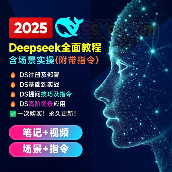 DeepSeek 使用指南2025全套学习教程/飞书学习笔记/视频教程